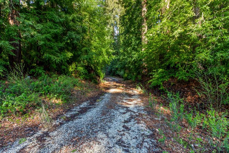 17480 Two Bar Road, BOULDER CREEK, California 95006, ,Lots And Land,For Sale,Two Bar Road,40963716