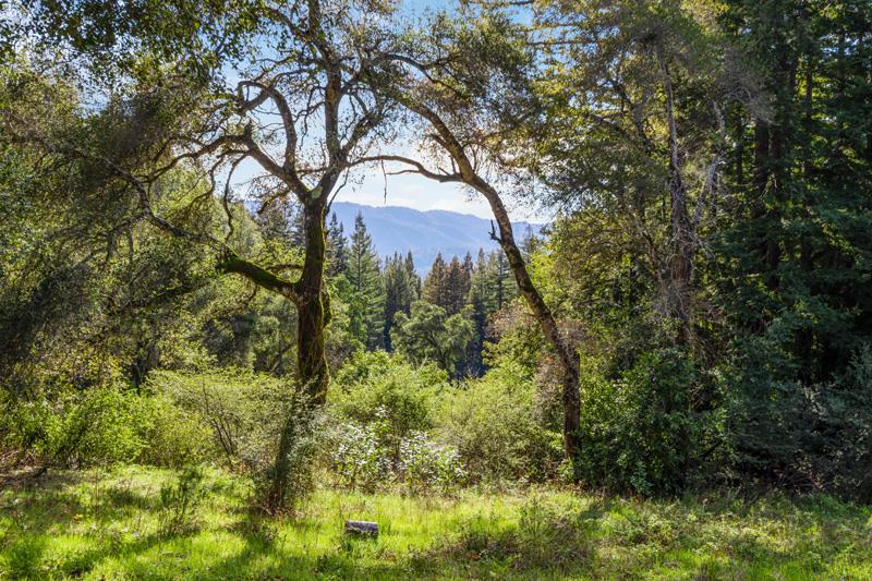 17480 Two Bar Road, BOULDER CREEK, California 95006, ,Lots And Land,For Sale,Two Bar Road,40963716