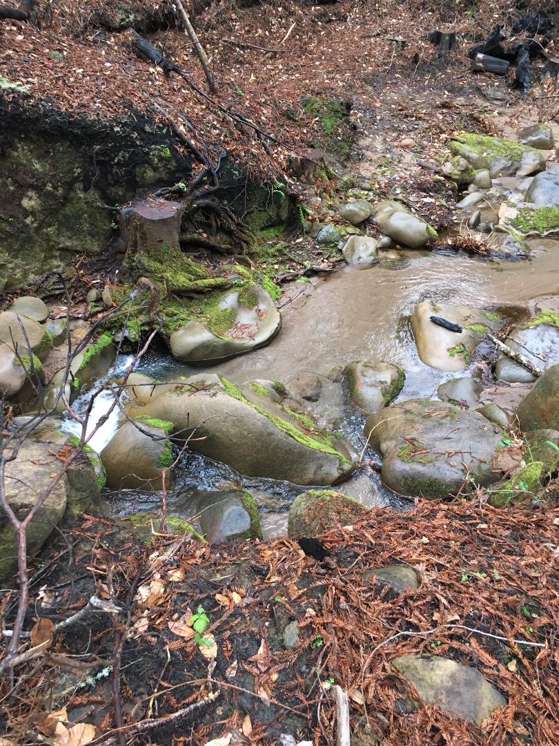 VACANT JAMISON CREEK ROAD, BOULDER CREEK, California 95006, ,Lots And Land,For Sale,JAMISON CREEK ROAD,40963719