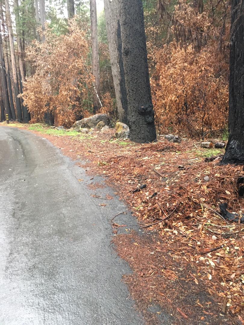 VACANT JAMISON CREEK ROAD, BOULDER CREEK, California 95006, ,Lots And Land,For Sale,JAMISON CREEK ROAD,40963719