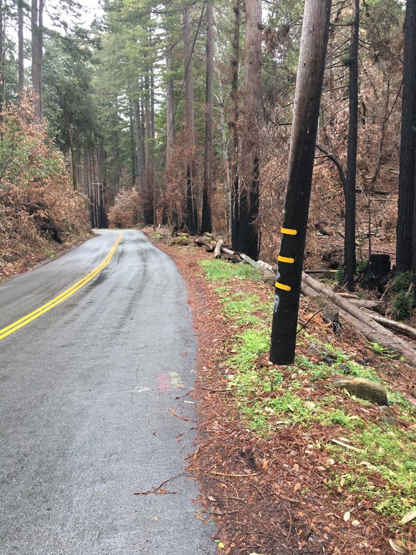 VACANT JAMISON CREEK ROAD, BOULDER CREEK, California 95006, ,Lots And Land,For Sale,JAMISON CREEK ROAD,40963719