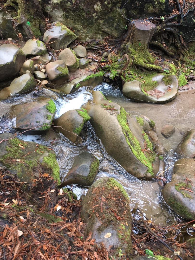 VACANT JAMISON CREEK ROAD, BOULDER CREEK, California 95006, ,Lots And Land,For Sale,JAMISON CREEK ROAD,40963719
