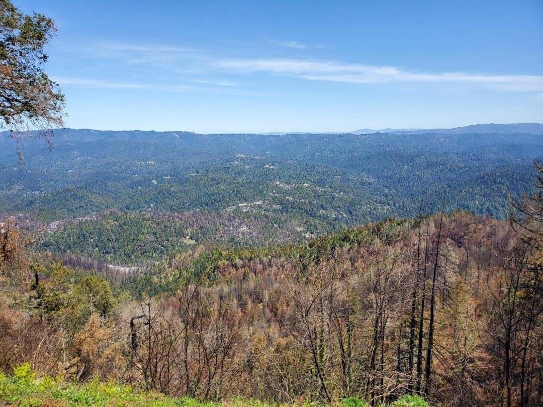 150 Braemoor Drive, SANTA CRUZ, California 95060, ,Lots And Land,For Sale,Braemoor Drive,40963721
