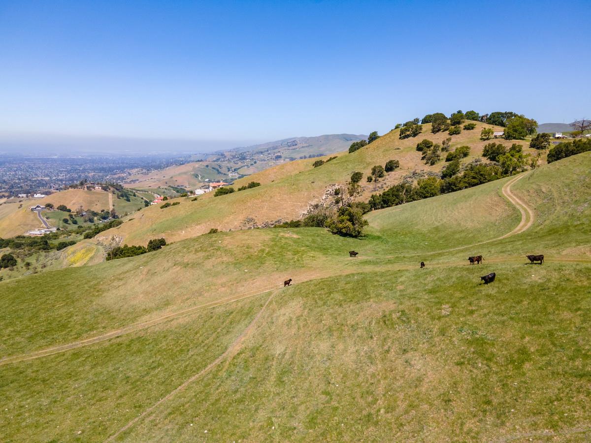 0 Higuera, SAN JOSE, California 95148, ,Lots And Land,For Sale,Higuera,40964294
