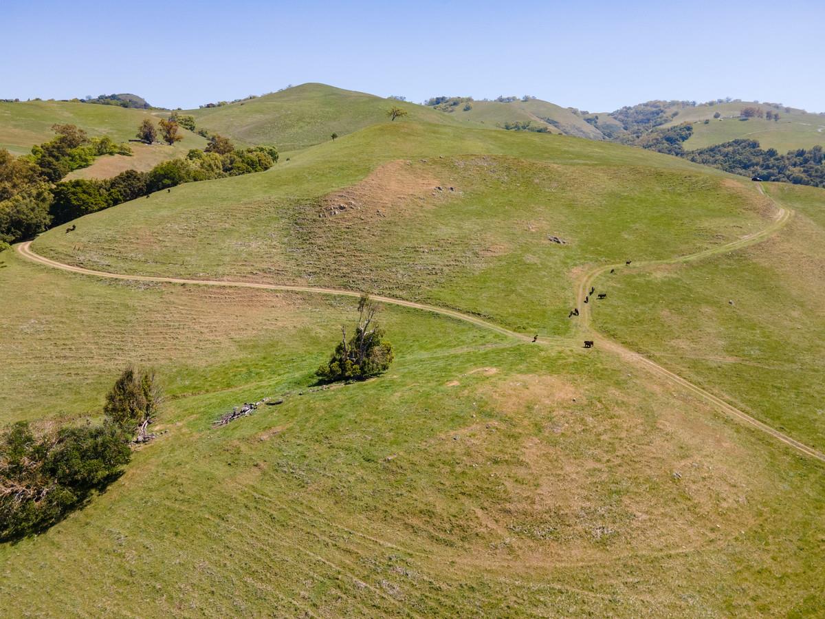 0 Higuera, SAN JOSE, California 95148, ,Lots And Land,For Sale,Higuera,40964294