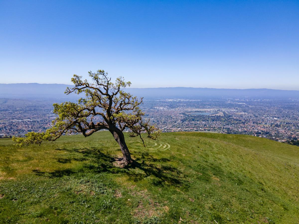 0 Higuera, SAN JOSE, California 95148, ,Lots And Land,For Sale,Higuera,40964294