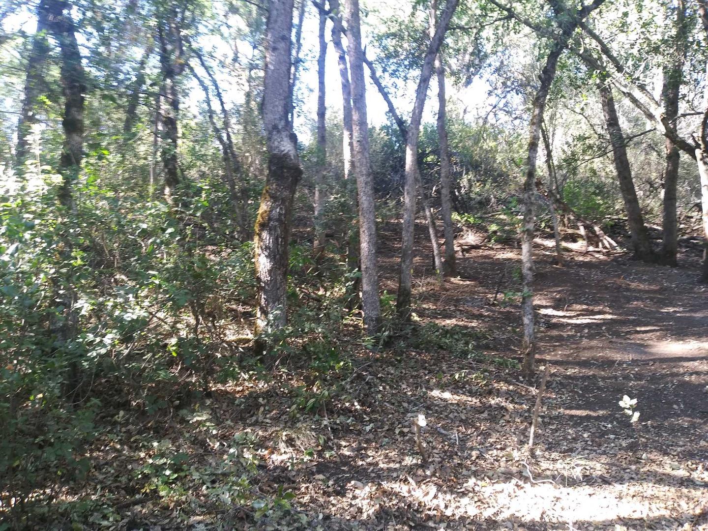 15345 Birch Avenue, CLEARLAKE, California 95422, ,Lots And Land,For Sale,Birch Avenue,40963737
