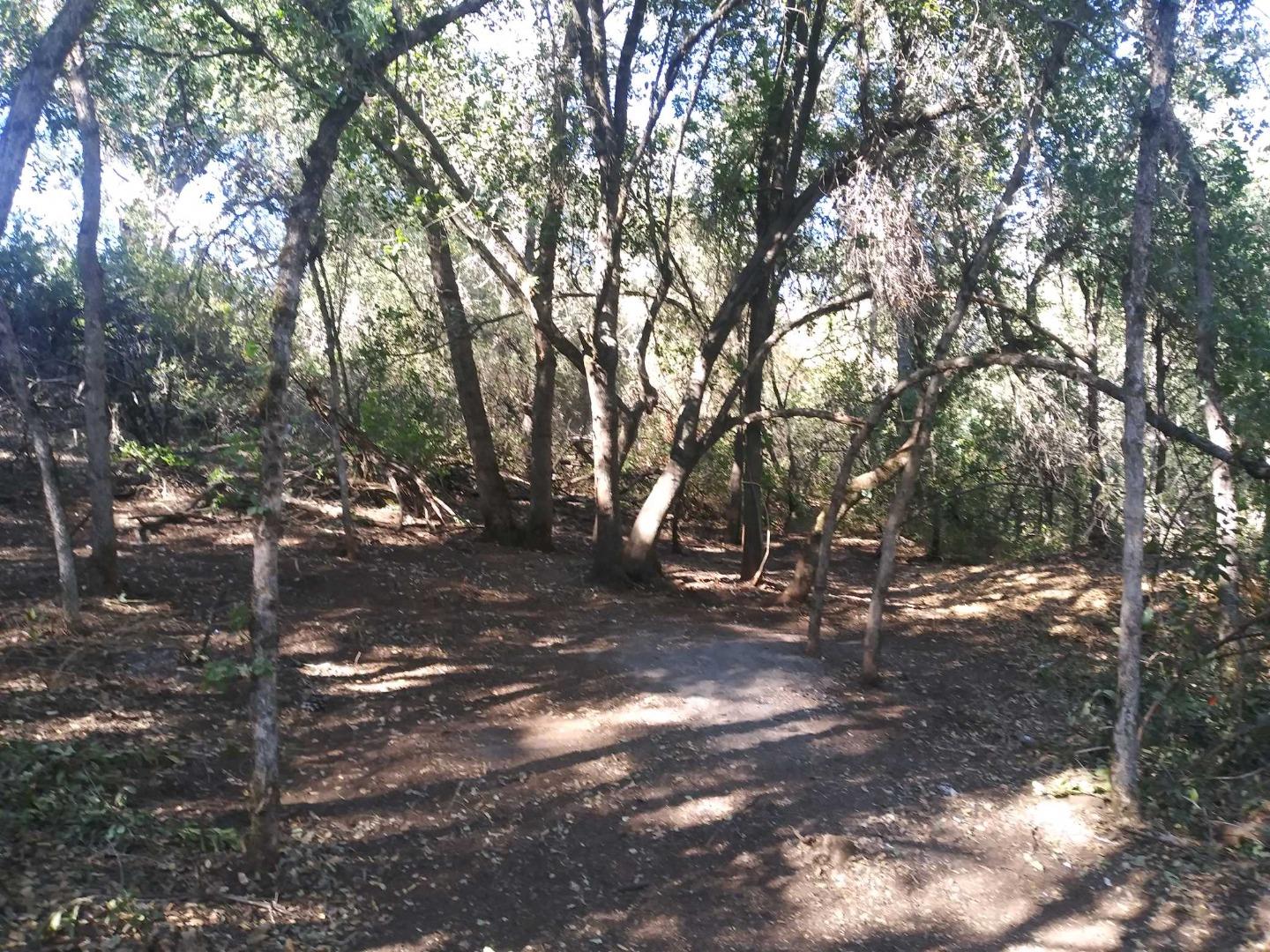 15345 Birch Avenue, CLEARLAKE, California 95422, ,Lots And Land,For Sale,Birch Avenue,40963737