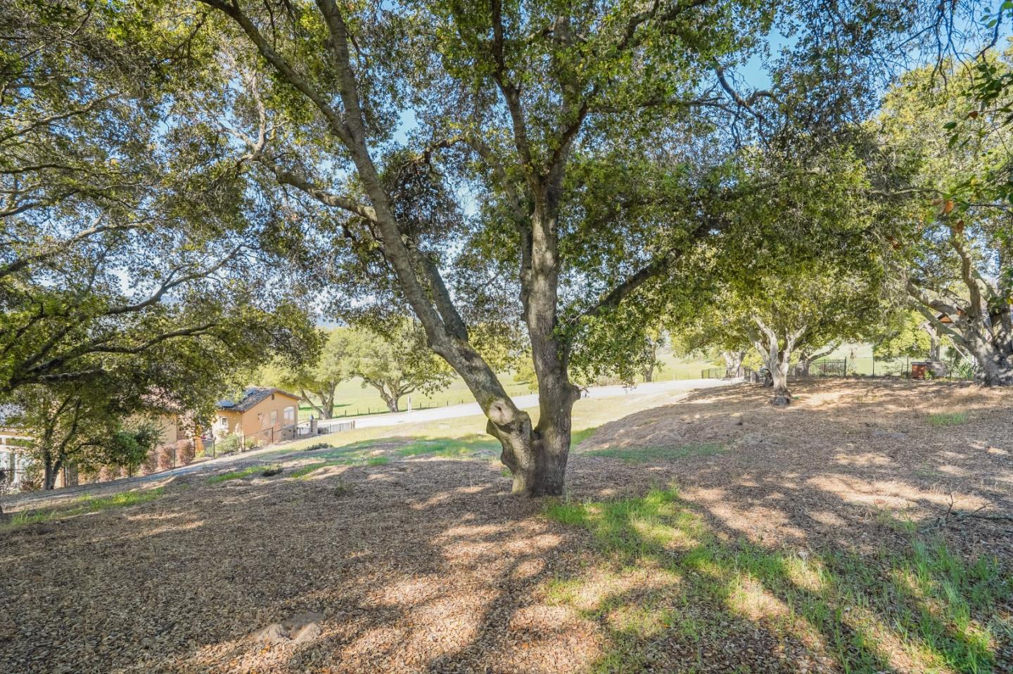 2391 Mantelli Drive, GILROY, California 95020, ,Lots And Land,For Sale,Mantelli Drive,40963772