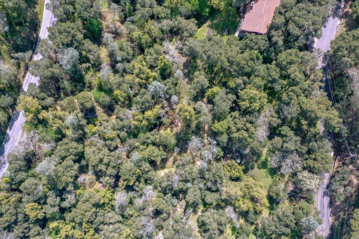 17064 Shady Lane Drive, MORGAN HILL, California 95037, ,Lots And Land,For Sale,Shady Lane Drive,40963778