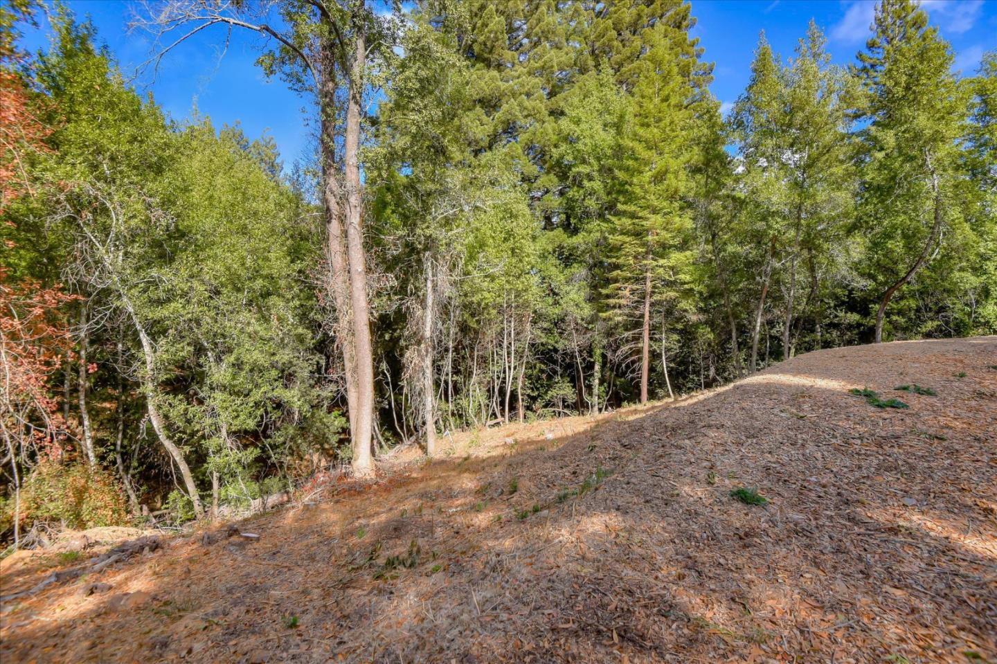 0 Idylwild Road, LOS GATOS, California 95033, ,Lots And Land,For Sale,Idylwild Road,40963795