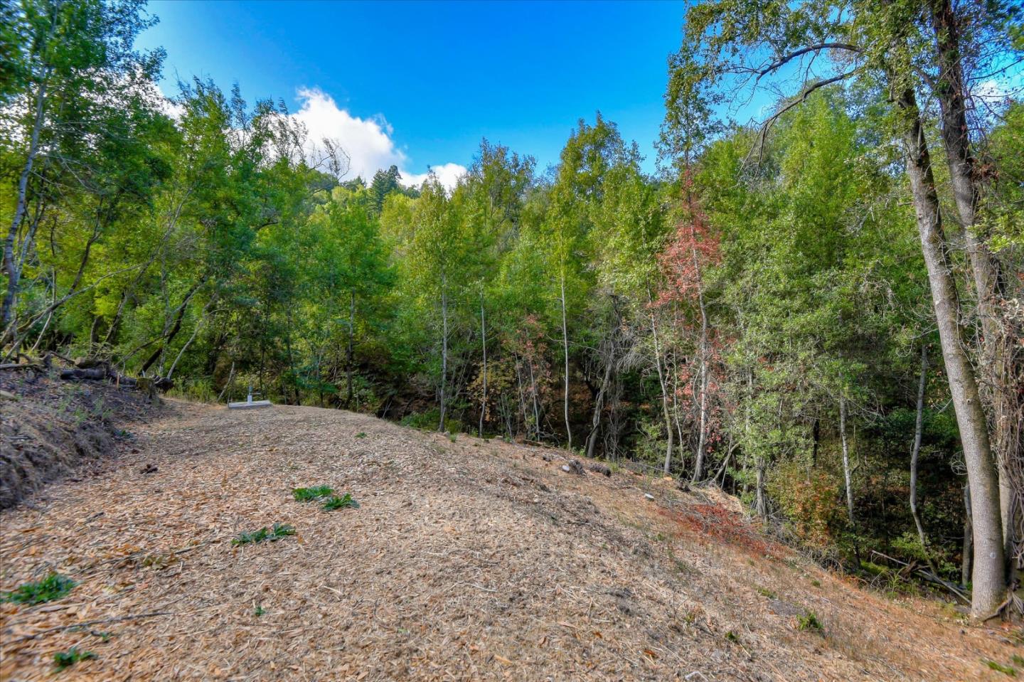 0 Idylwild Road, LOS GATOS, California 95033, ,Lots And Land,For Sale,Idylwild Road,40963795