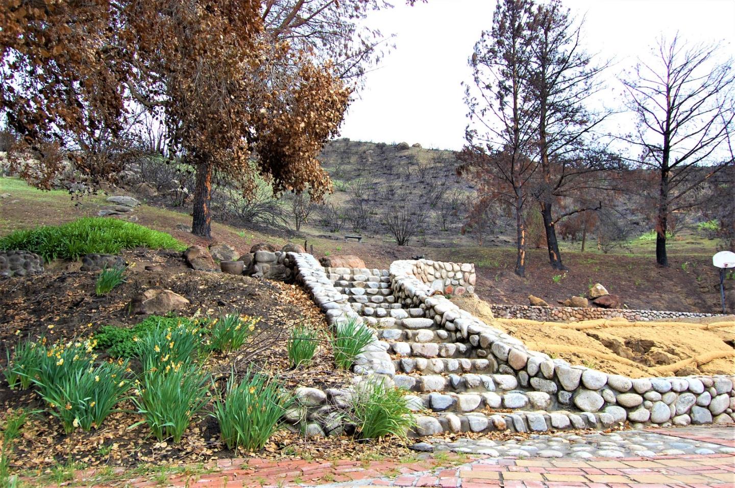 17463 Via Cielo, CARMEL VALLEY, California 93924, ,Lots And Land,For Sale,Via Cielo,40963804
