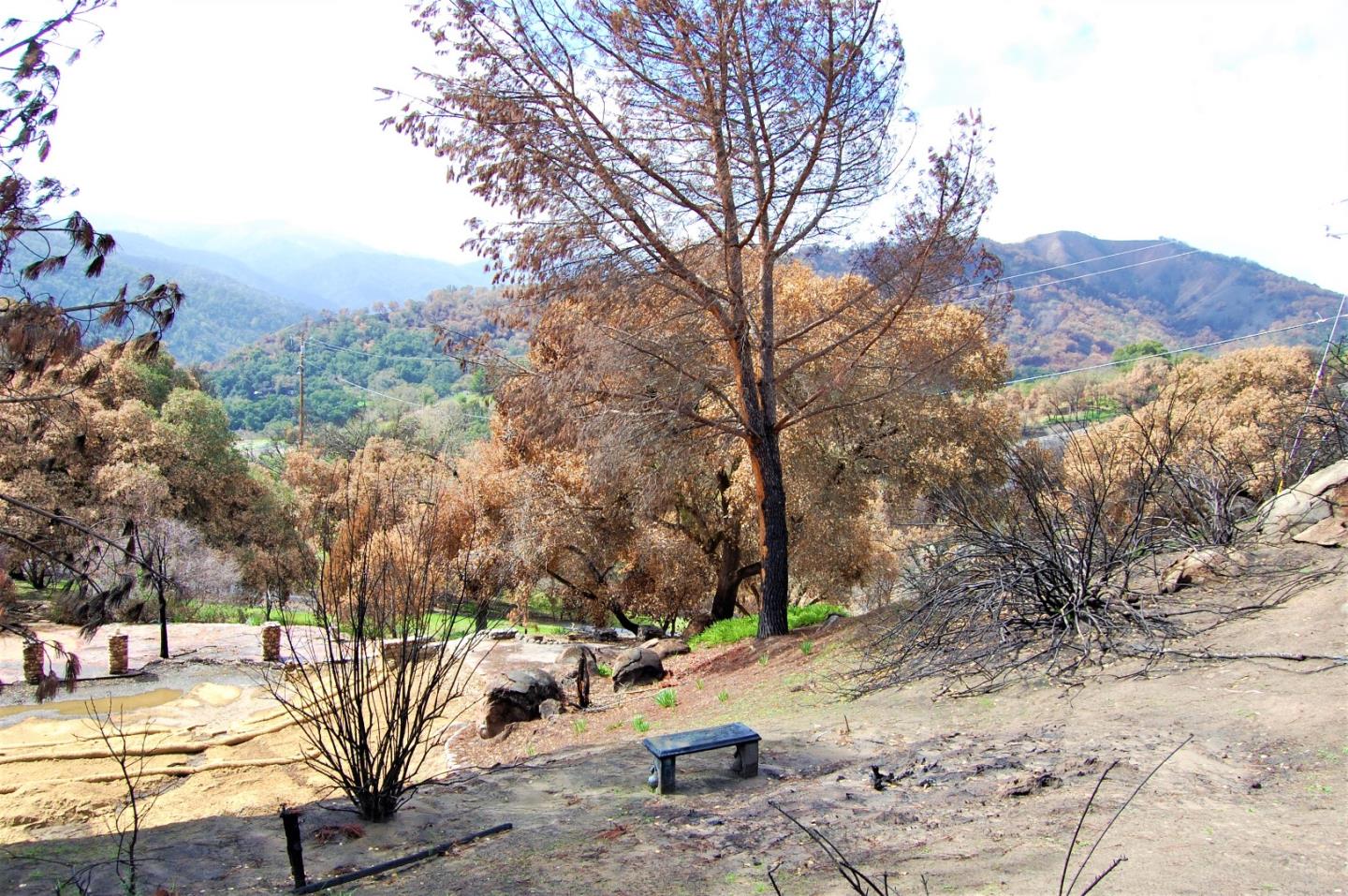 17463 Via Cielo, CARMEL VALLEY, California 93924, ,Lots And Land,For Sale,Via Cielo,40963804