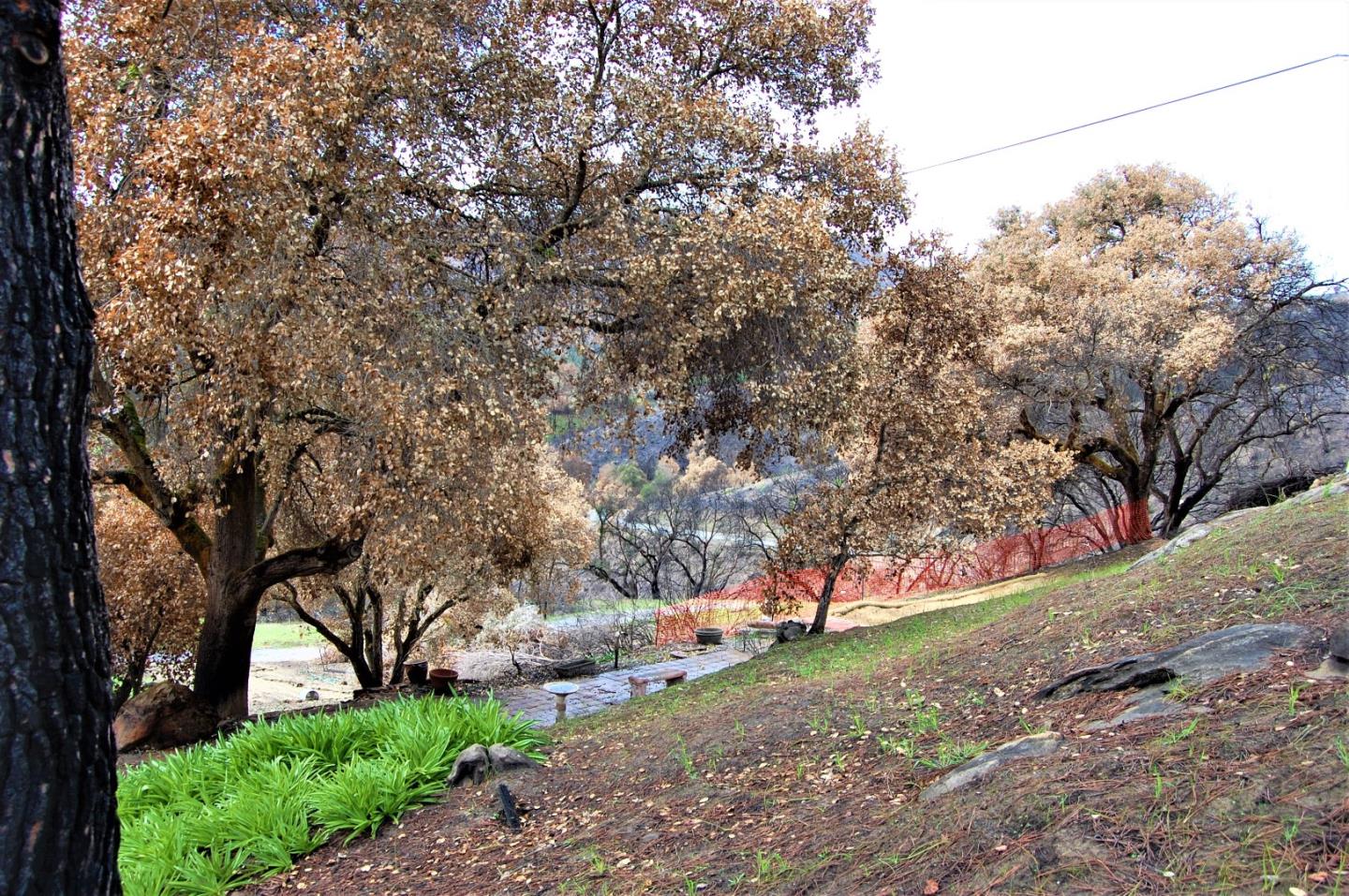 17463 Via Cielo, CARMEL VALLEY, California 93924, ,Lots And Land,For Sale,Via Cielo,40963804