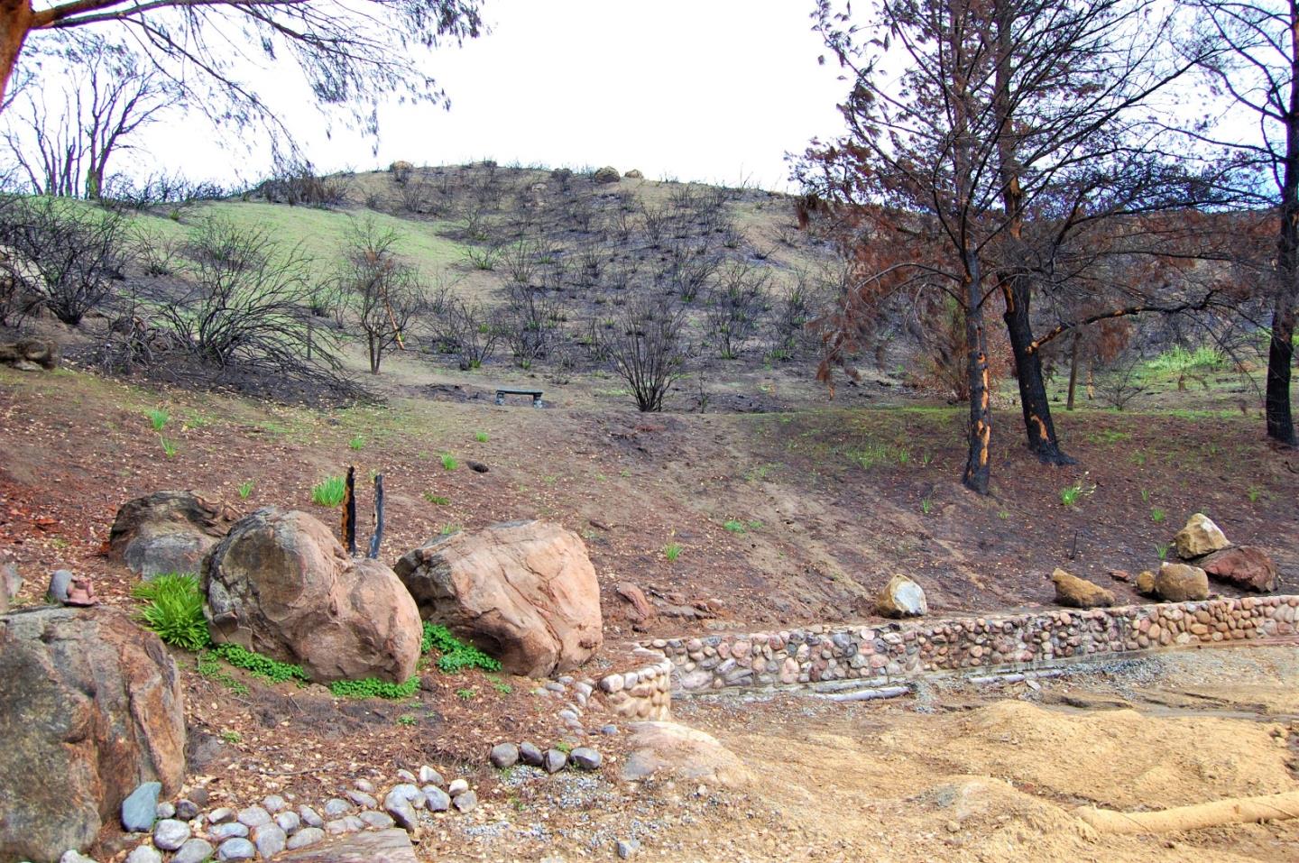 17463 Via Cielo, CARMEL VALLEY, California 93924, ,Lots And Land,For Sale,Via Cielo,40963804