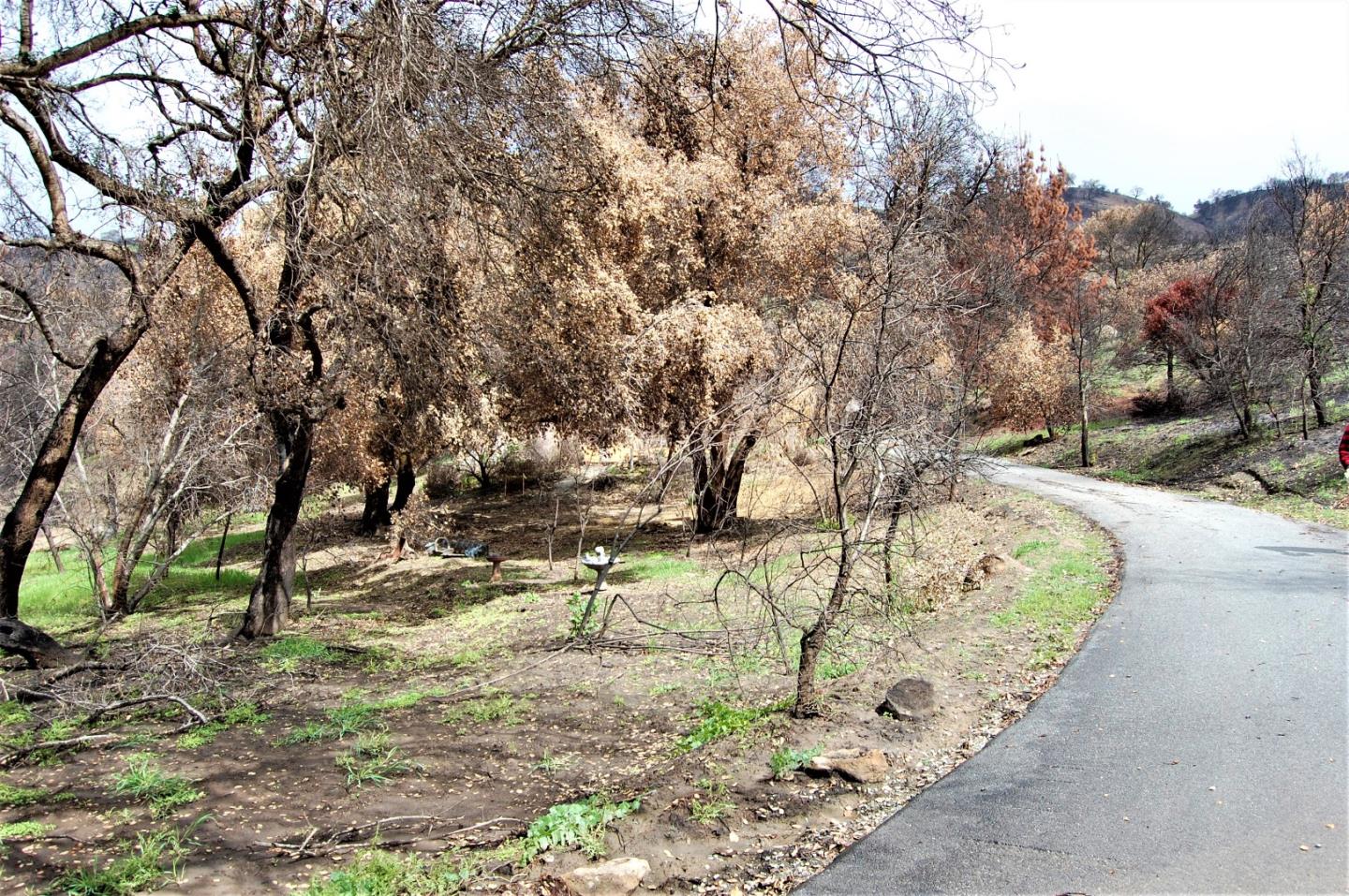 17463 Via Cielo, CARMEL VALLEY, California 93924, ,Lots And Land,For Sale,Via Cielo,40963804
