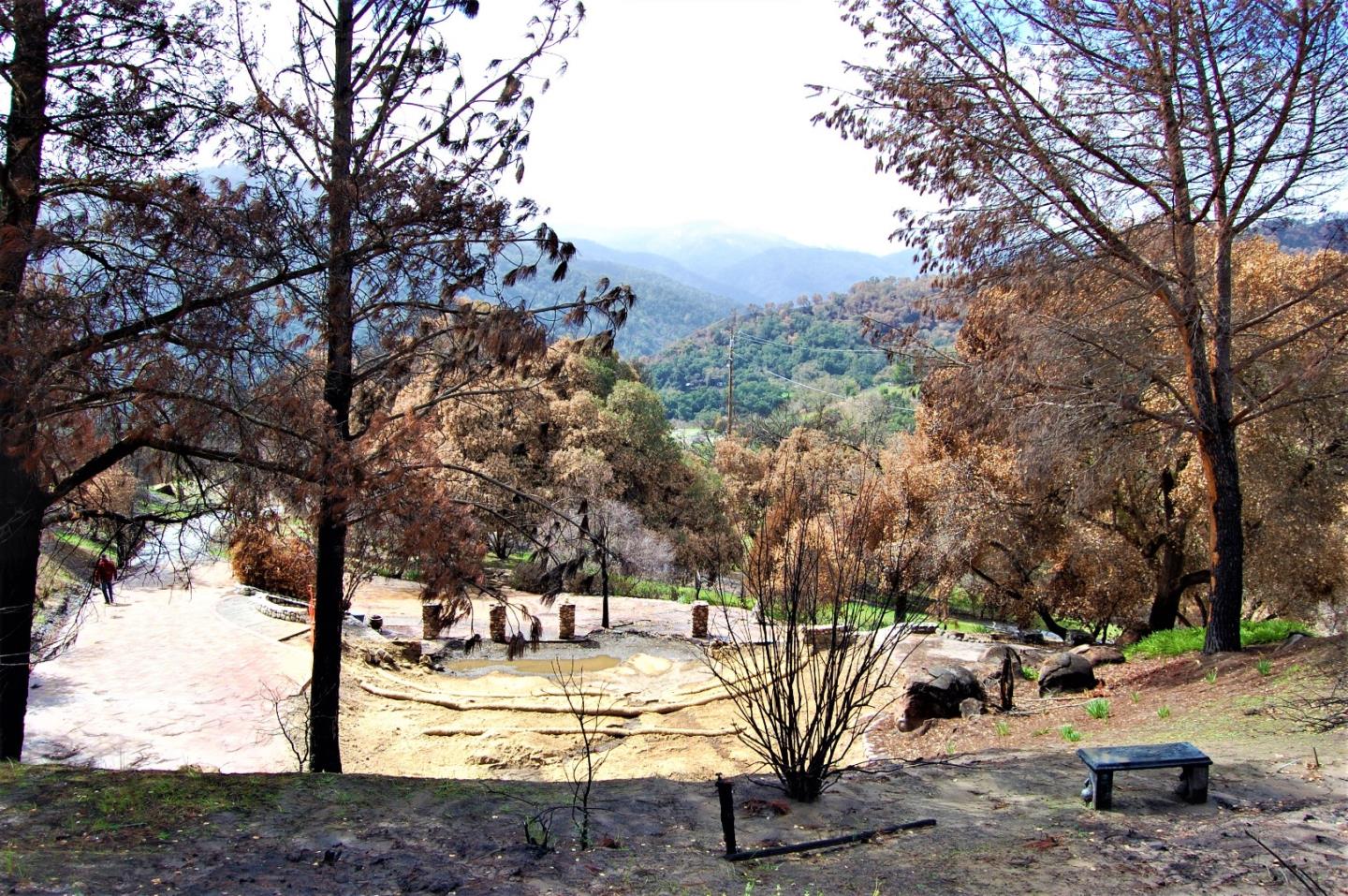 17463 Via Cielo, CARMEL VALLEY, California 93924, ,Lots And Land,For Sale,Via Cielo,40963804