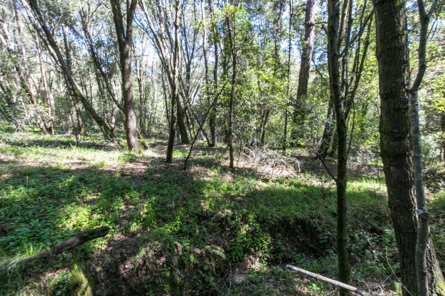 985 Mesa Grande Road, APTOS, California 95003, ,Lots And Land,For Sale,Mesa Grande Road,40963823