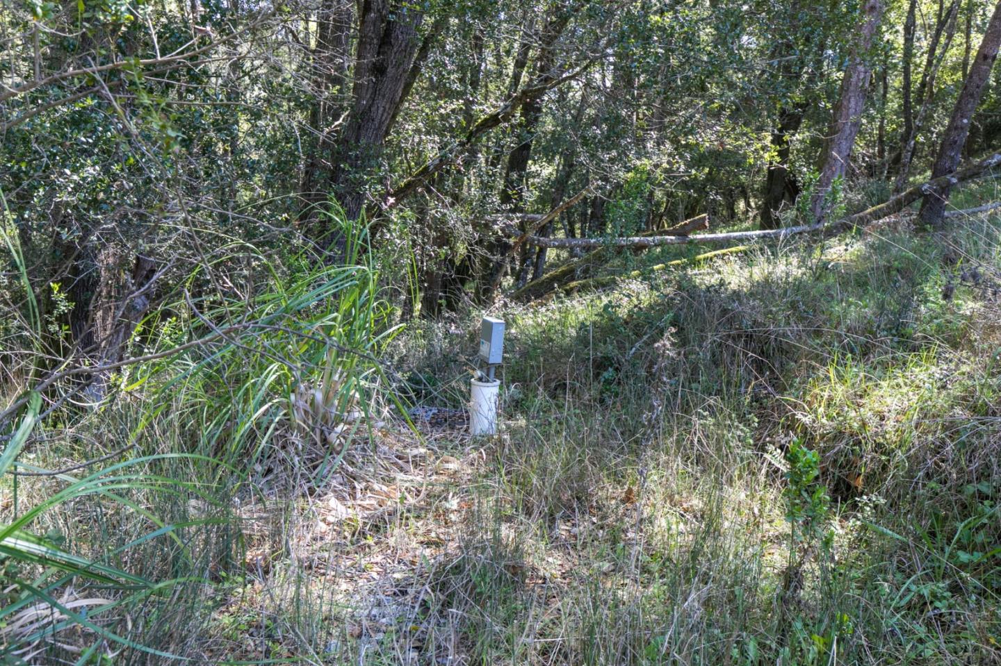 985 Mesa Grande Road, APTOS, California 95003, ,Lots And Land,For Sale,Mesa Grande Road,40963823