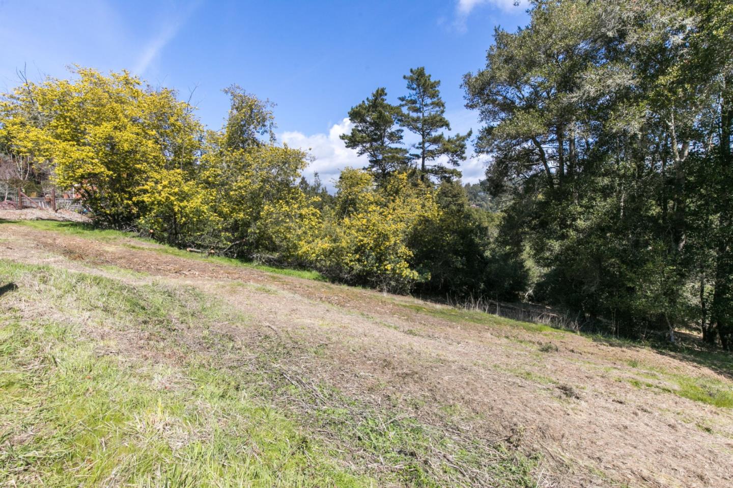 985 Mesa Grande Road, APTOS, California 95003, ,Lots And Land,For Sale,Mesa Grande Road,40963823