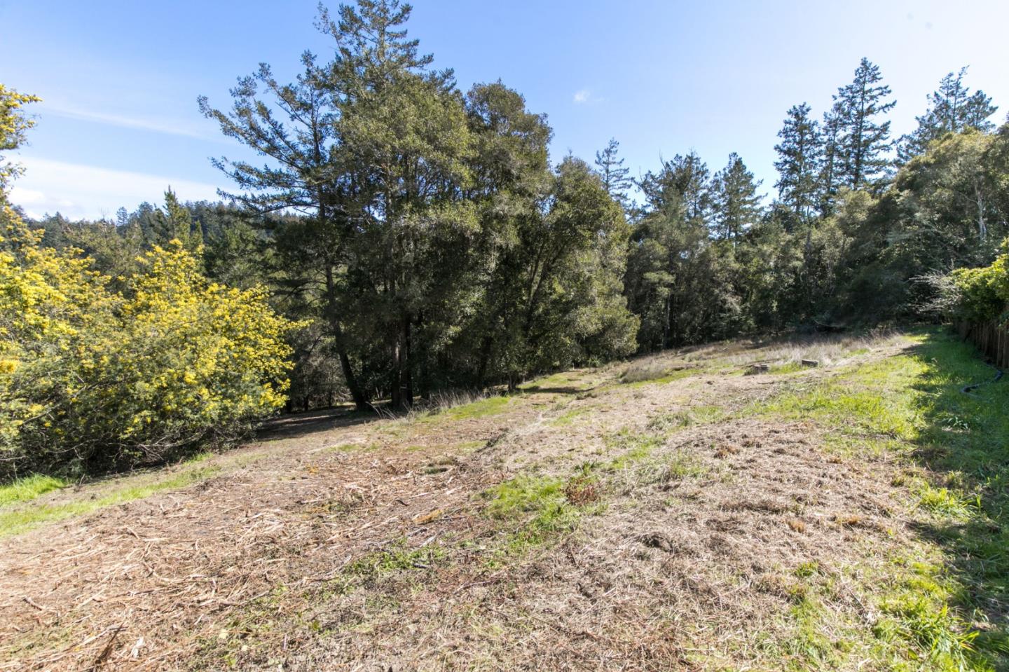 985 Mesa Grande Road, APTOS, California 95003, ,Lots And Land,For Sale,Mesa Grande Road,40963823
