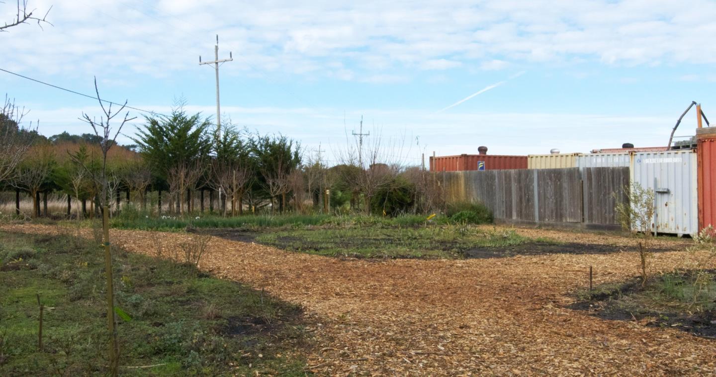 Stanford Stanford Avenue, HALF MOON BAY, California 94019, ,Comm Lots And Land,For Sale,Stanford Avenue,40963838