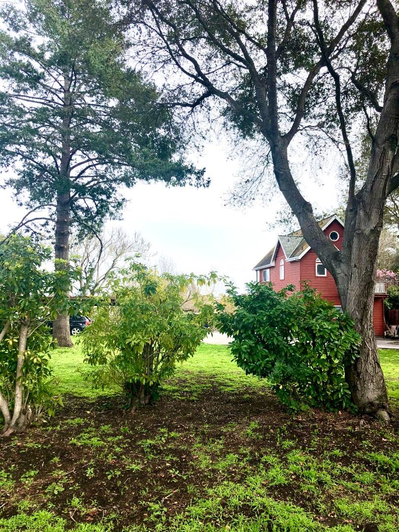 414 California Street, SANTA CRUZ, California 95060, ,Lots And Land,For Sale,California Street,40975674