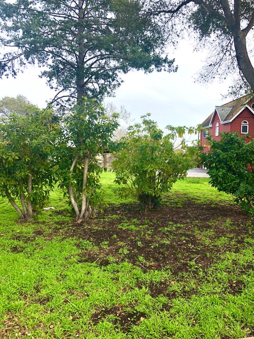 414 California Street, SANTA CRUZ, California 95060, ,Lots And Land,For Sale,California Street,40975674