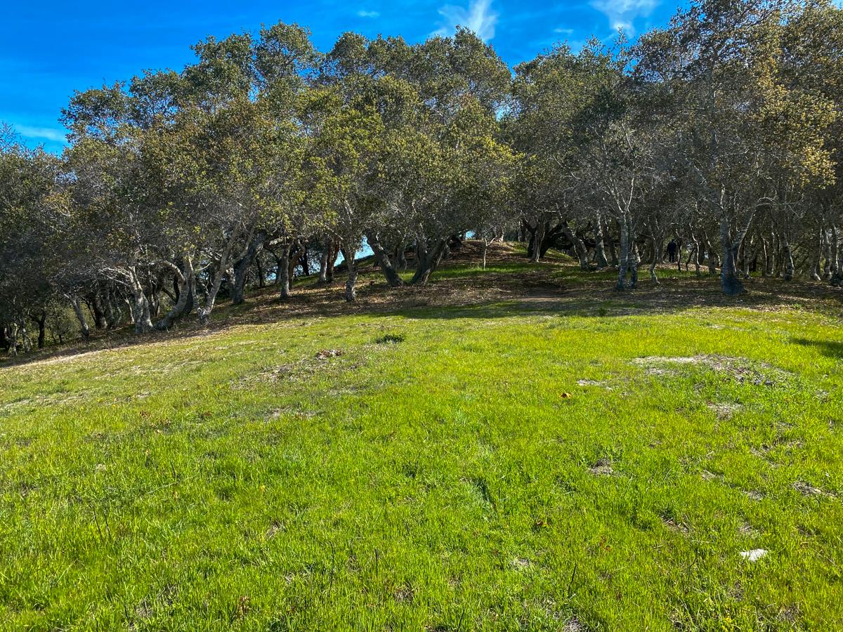 8 Corral Run, CARMEL VALLEY, California 93923, ,Lots And Land,For Sale,Corral Run,40963857