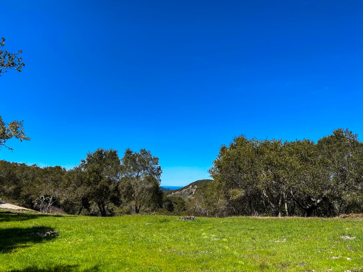 8 Corral Run, CARMEL VALLEY, California 93923, ,Lots And Land,For Sale,Corral Run,40963857
