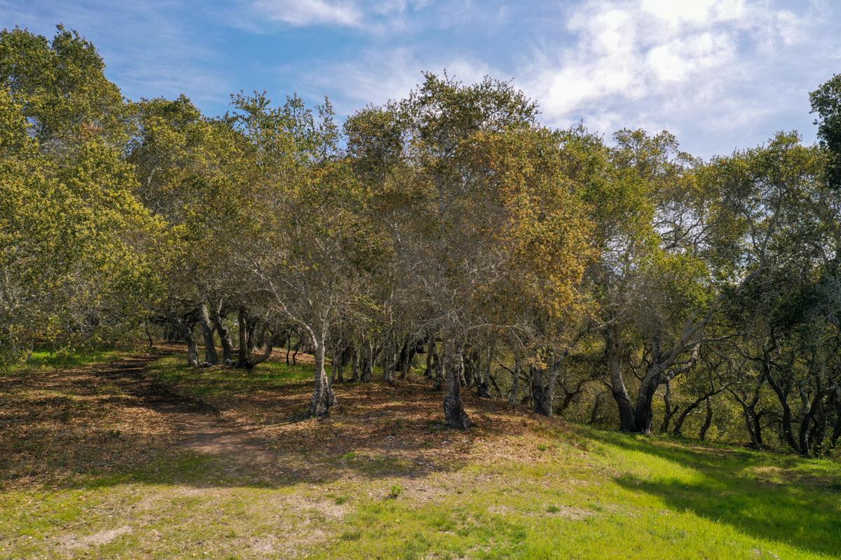 8 Corral Run, CARMEL VALLEY, California 93923, ,Lots And Land,For Sale,Corral Run,40963857