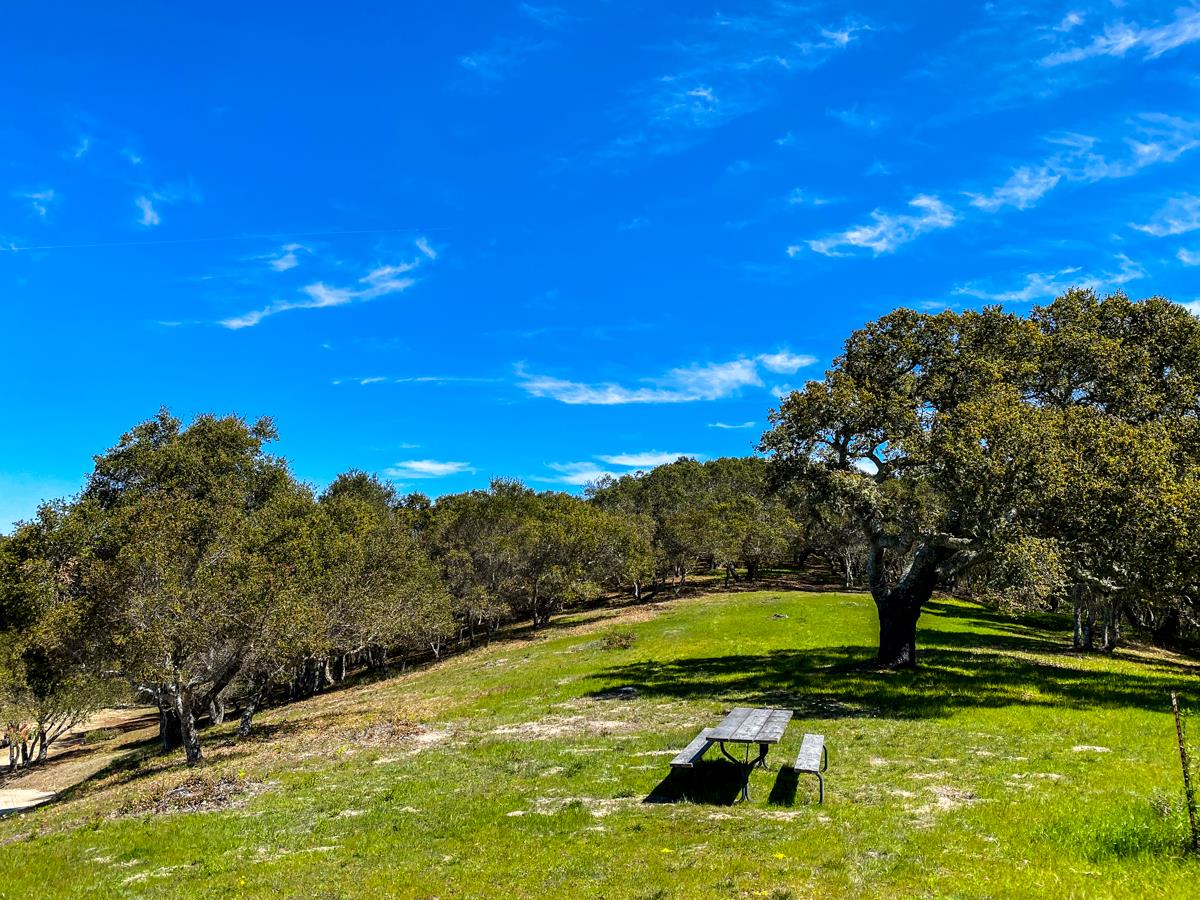 8 Corral Run, CARMEL VALLEY, California 93923, ,Lots And Land,For Sale,Corral Run,40963857