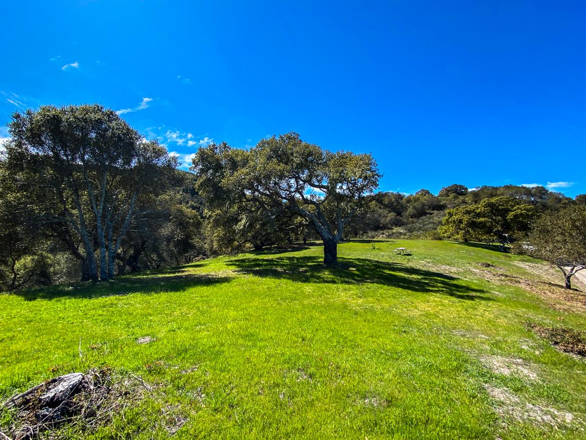 8 Corral Run, CARMEL VALLEY, California 93923, ,Lots And Land,For Sale,Corral Run,40963857