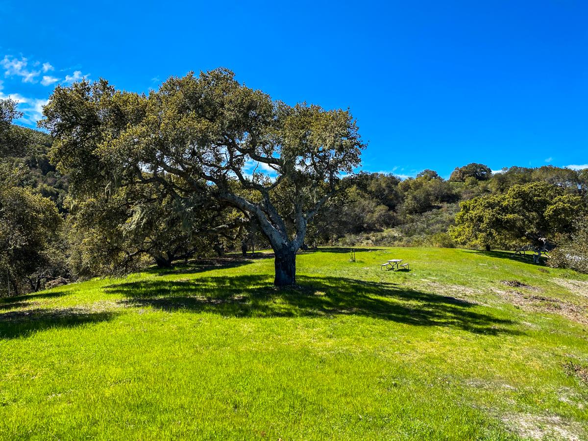 8 Corral Run, CARMEL VALLEY, California 93923, ,Lots And Land,For Sale,Corral Run,40963857