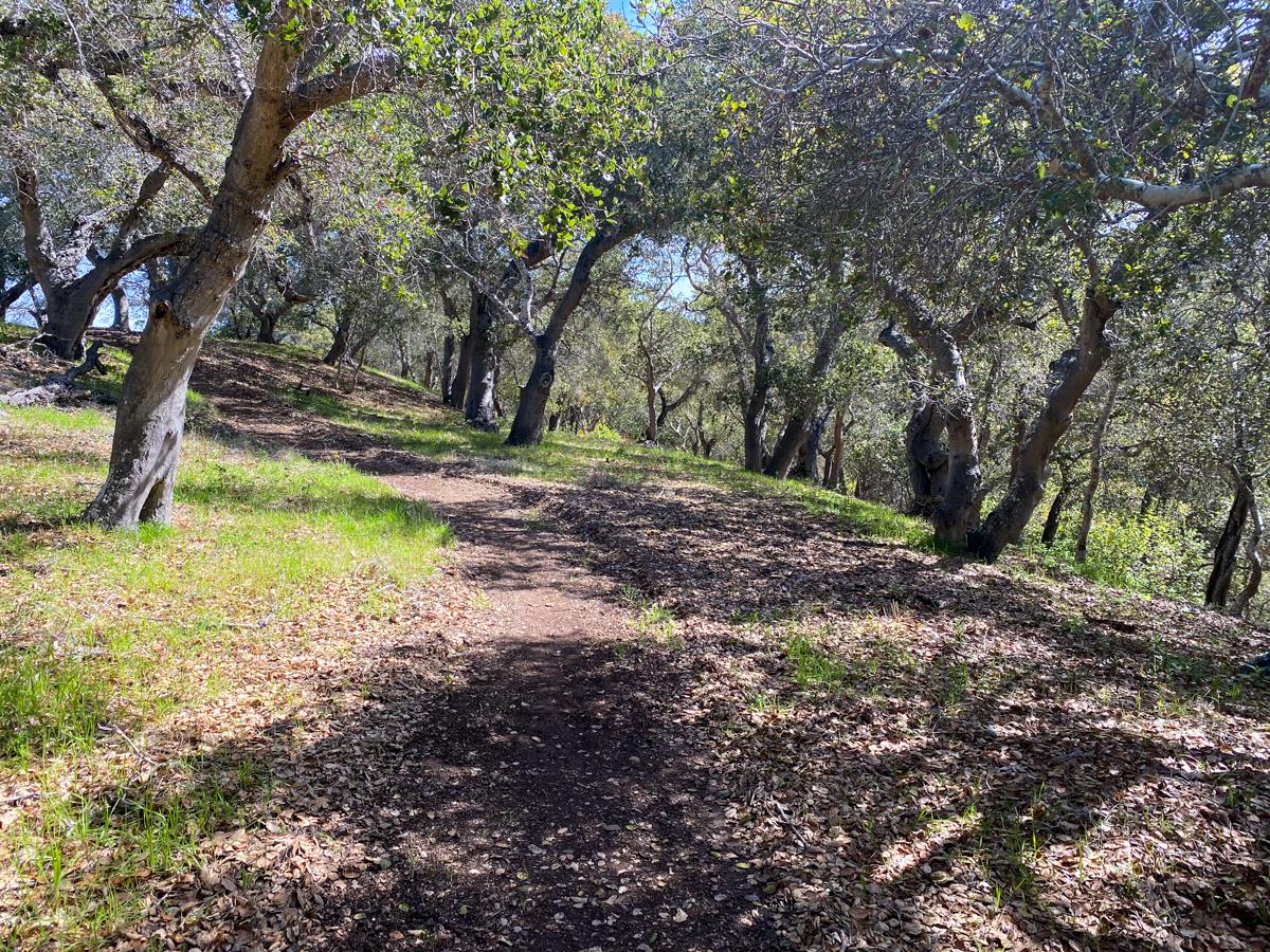 8 Corral Run, CARMEL VALLEY, California 93923, ,Lots And Land,For Sale,Corral Run,40963857