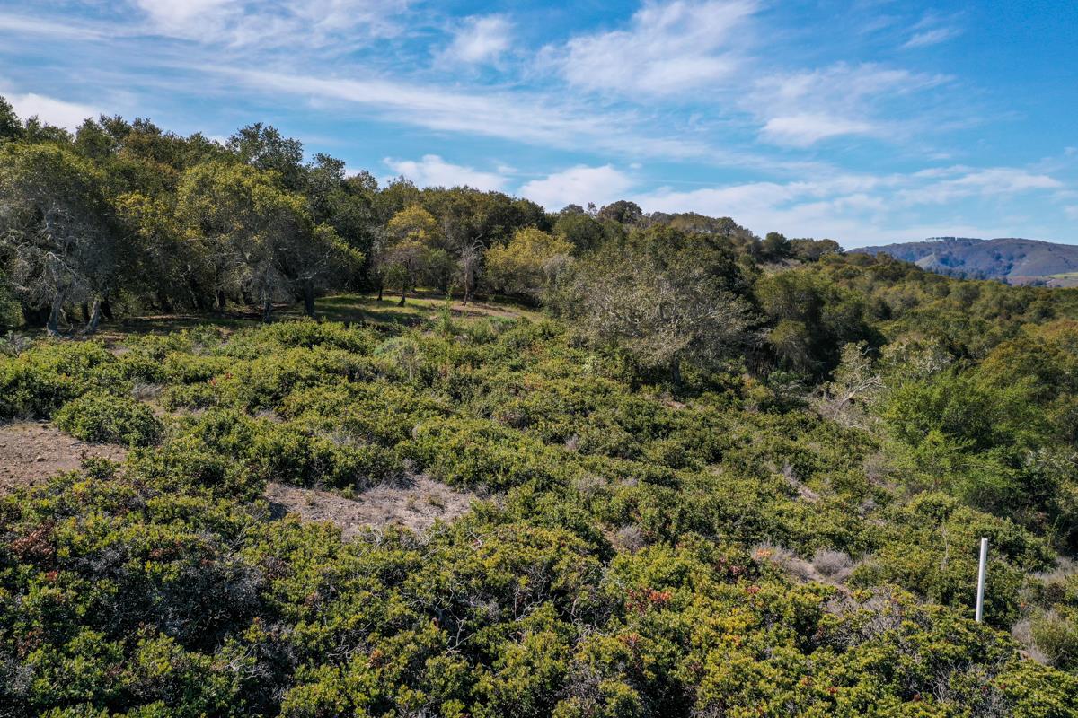 8 Corral Run, CARMEL VALLEY, California 93923, ,Lots And Land,For Sale,Corral Run,40963857