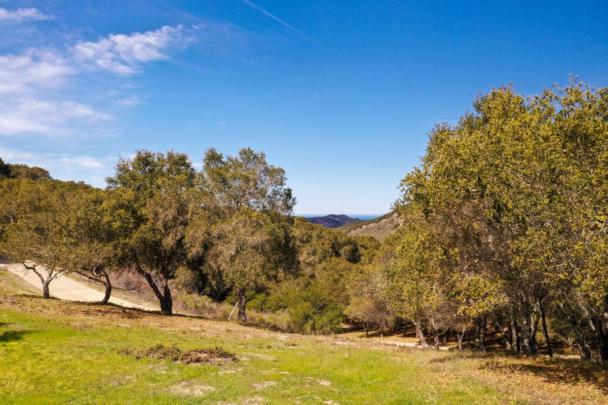 8 Corral Run, CARMEL VALLEY, California 93923, ,Lots And Land,For Sale,Corral Run,40963857