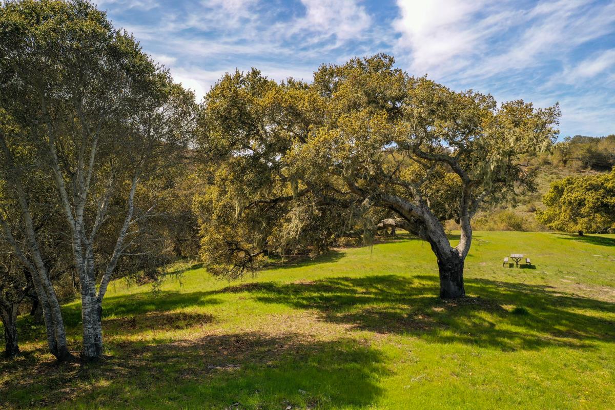 8 Corral Run, CARMEL VALLEY, California 93923, ,Lots And Land,For Sale,Corral Run,40963857