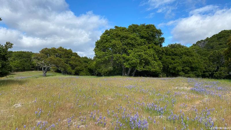 8 Corral Run, CARMEL VALLEY, California 93923, ,Lots And Land,For Sale,Corral Run,40963857