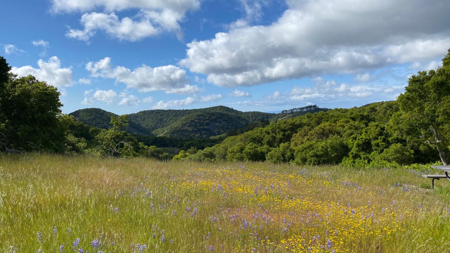 8 Corral Run, CARMEL VALLEY, California 93923, ,Lots And Land,For Sale,Corral Run,40963857