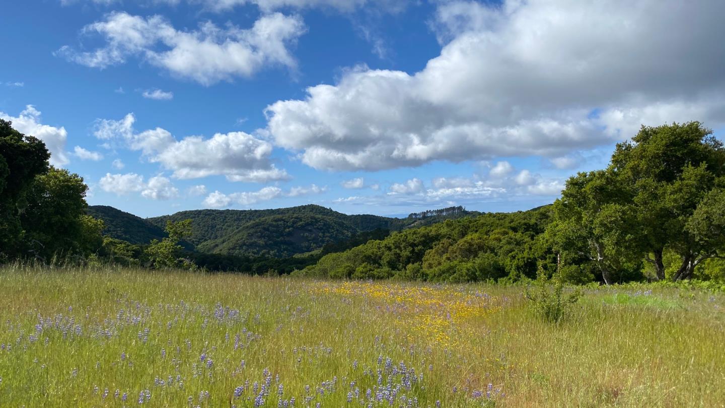 8 Corral Run, CARMEL VALLEY, California 93923, ,Lots And Land,For Sale,Corral Run,40963857