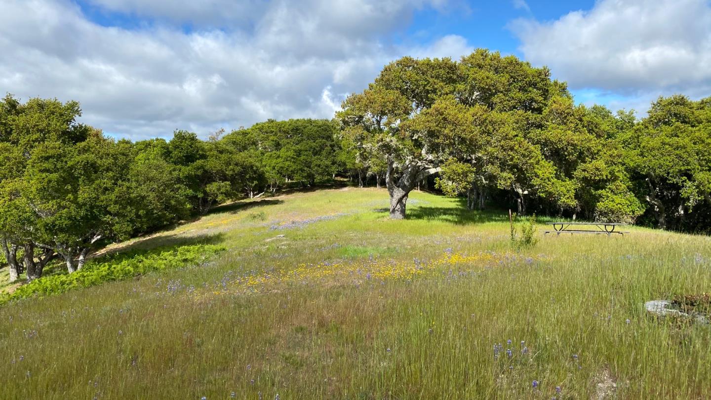 8 Corral Run, CARMEL VALLEY, California 93923, ,Lots And Land,For Sale,Corral Run,40963857