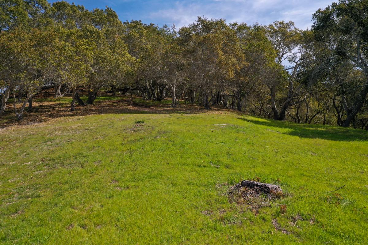 8 Corral Run, CARMEL VALLEY, California 93923, ,Lots And Land,For Sale,Corral Run,40963857