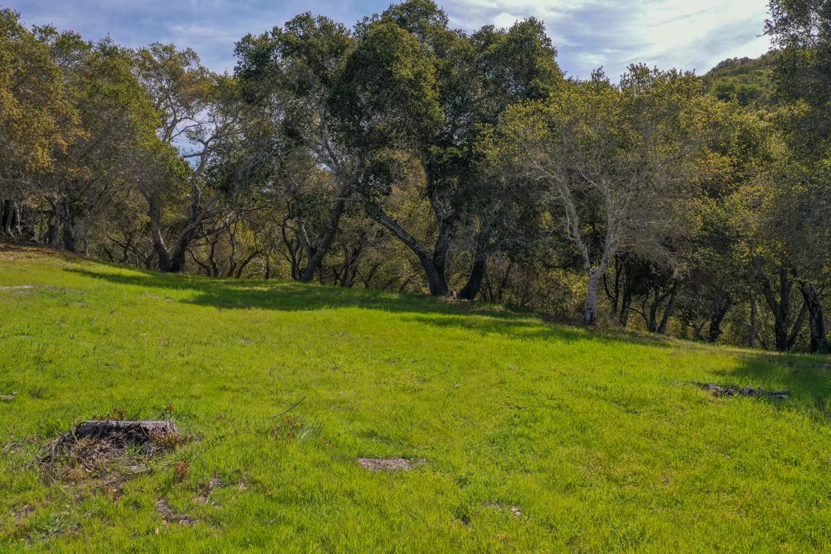 8 Corral Run, CARMEL VALLEY, California 93923, ,Lots And Land,For Sale,Corral Run,40963857