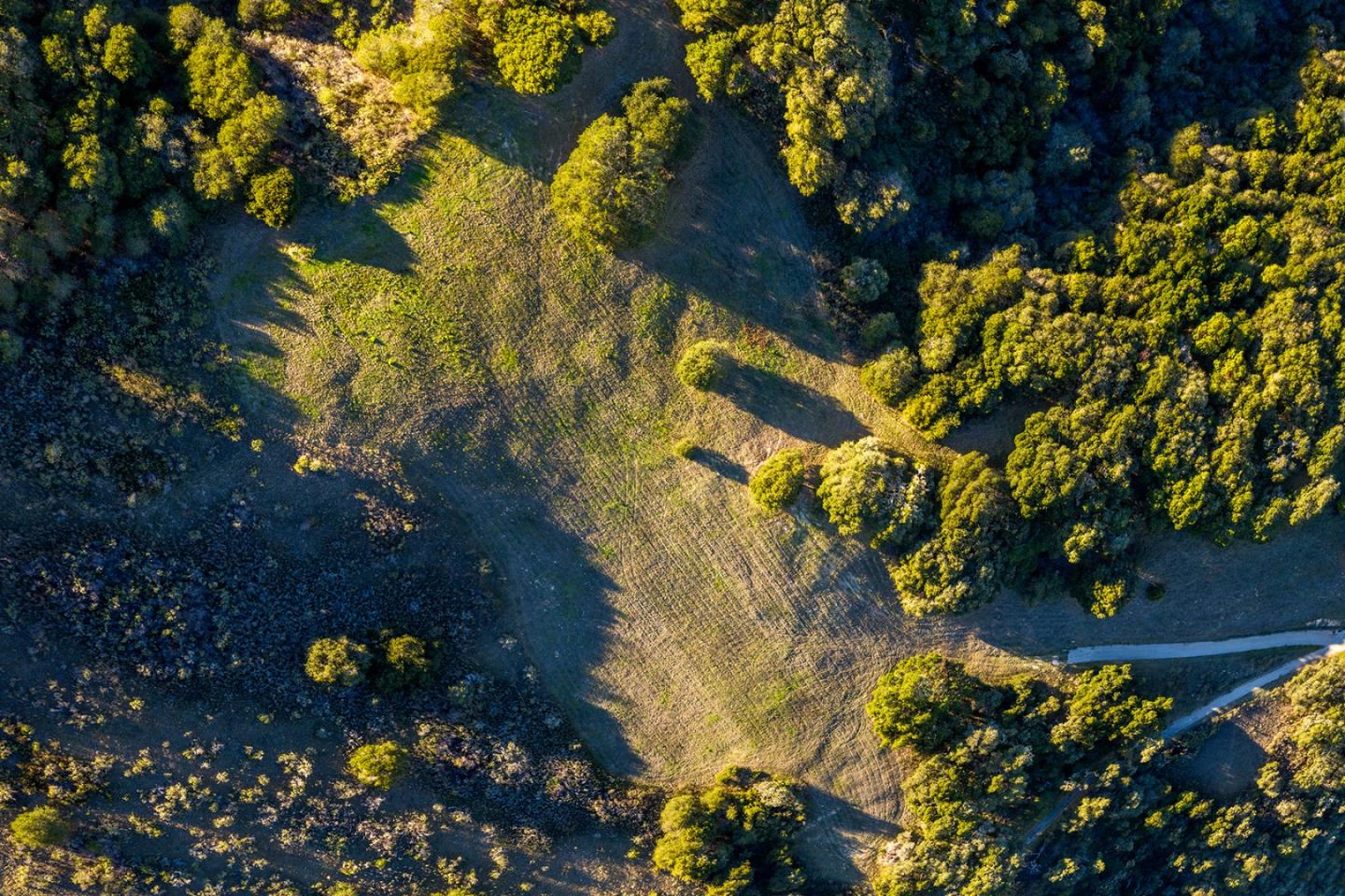 29 Potrero Trail, CARMEL, California 93923, ,Lots And Land,For Sale,Potrero Trail,40963873