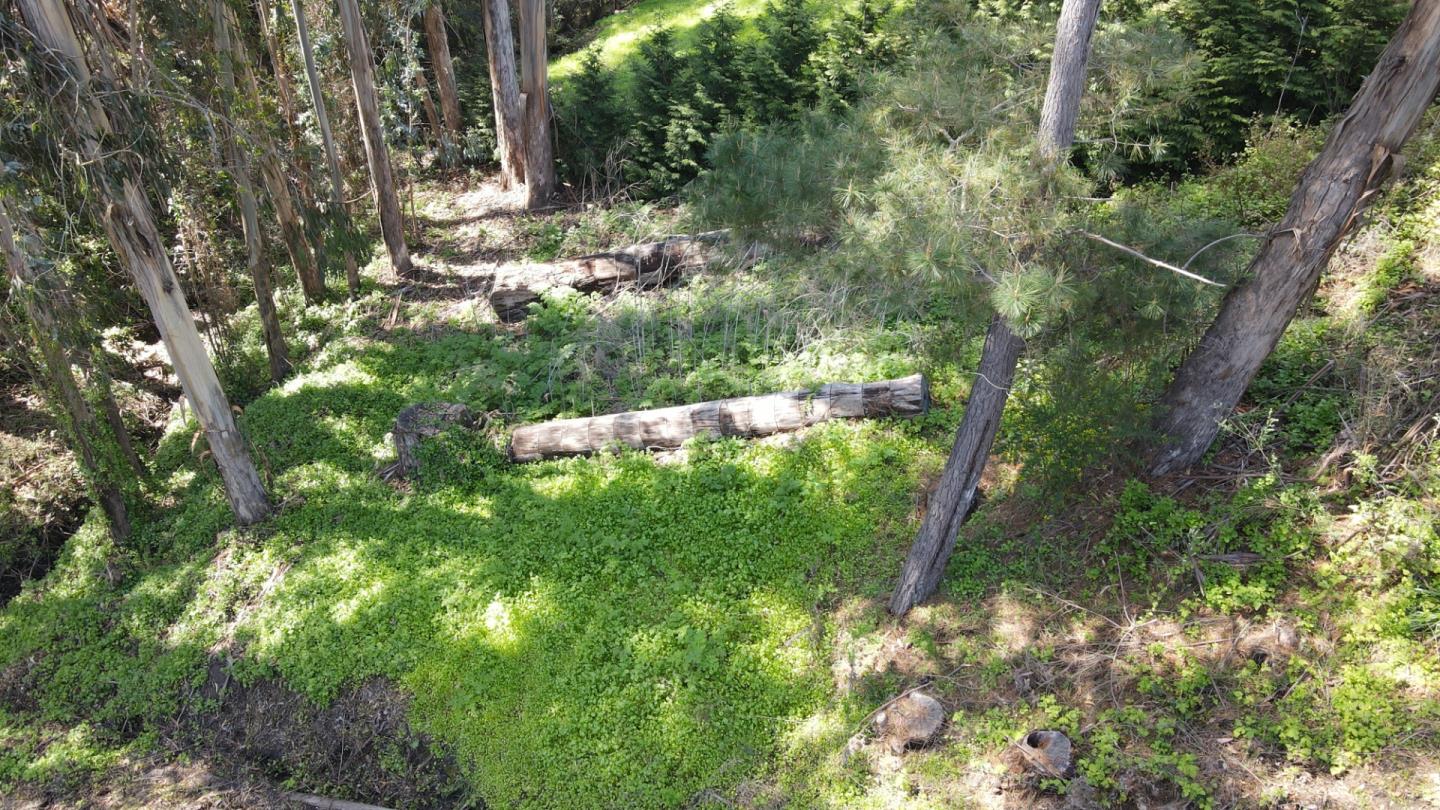 3690 Stance Avenue, SOQUEL, California 95073, ,Lots And Land,For Sale,Stance Avenue,40963874
