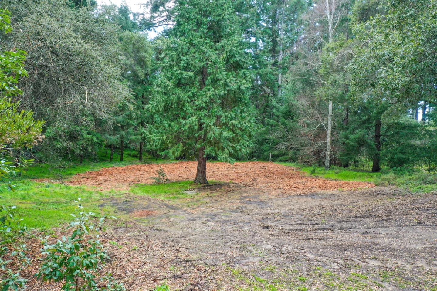70 Westdale Drive, SANTA CRUZ, California 95060, ,Lots And Land,For Sale,Westdale Drive,40963883