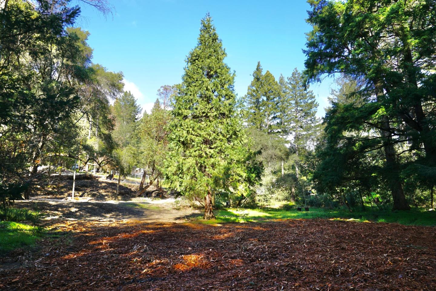 70 Westdale Drive, SANTA CRUZ, California 95060, ,Lots And Land,For Sale,Westdale Drive,40963883