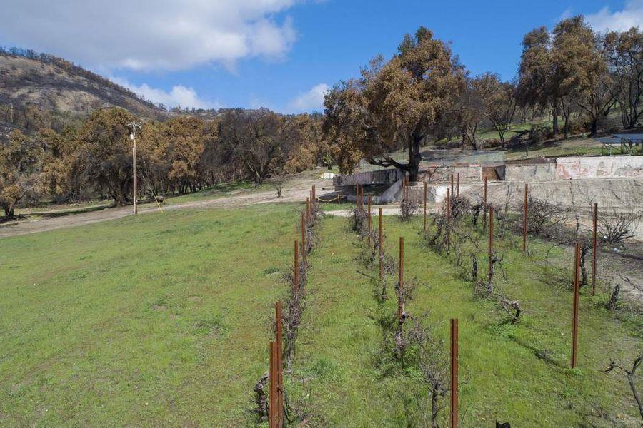7 TRAMPA CANYON ROAD, CARMEL VALLEY, California 93924, ,Lots And Land,For Sale,TRAMPA CANYON ROAD,40963892